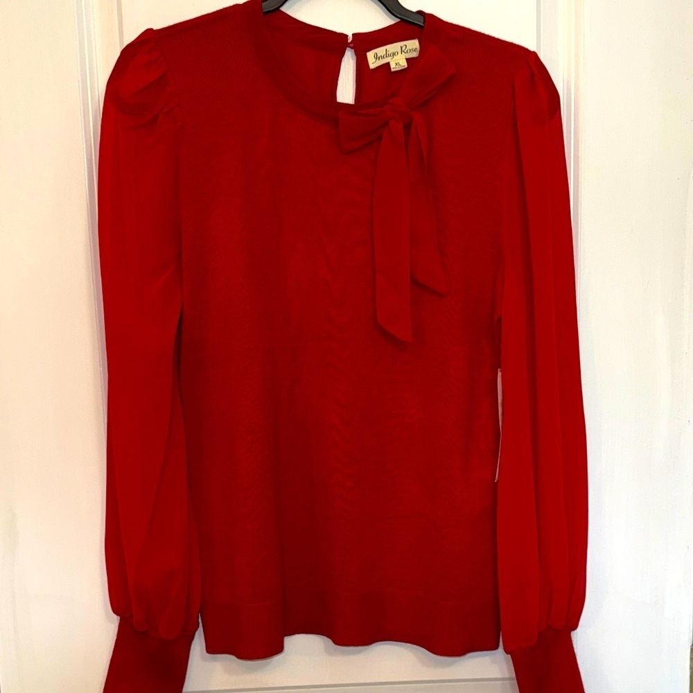 Indigo Rose Red Sweater With Sheer Sleeves